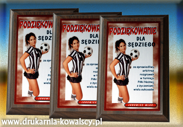 dla sędziego 4