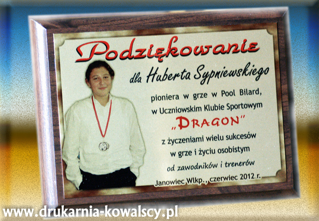 dragon-bilard
