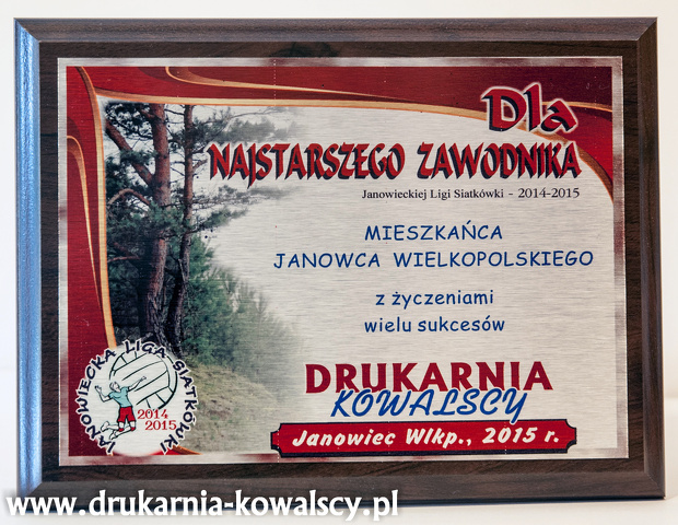 JANOWIECKA LIGA SIATKÓWKI 2015