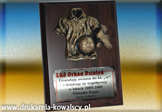 LKS DRAGON płskorzeźba