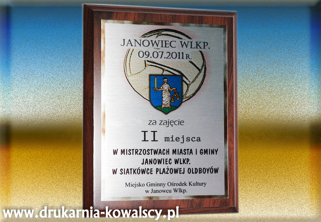 PIŁKA PLAŻOWA 2A