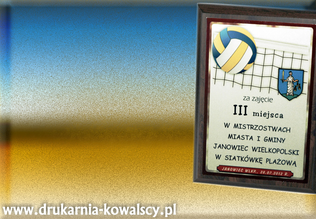 mistrzostwa3