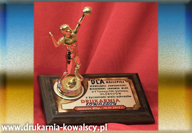 SIATKÓWKA