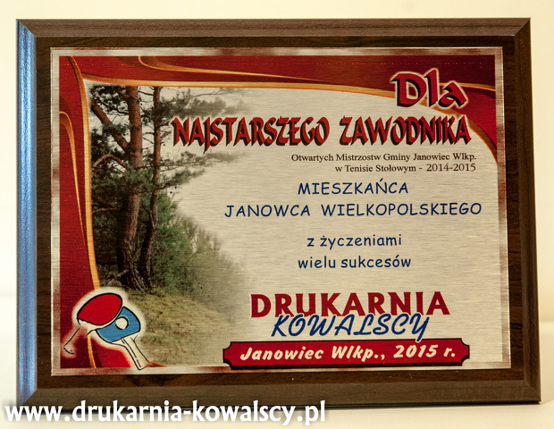 TENIS STOŁOWY 2015