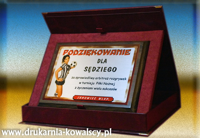 sedzia