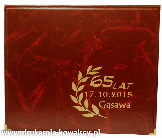 65 LAT CZAPLA