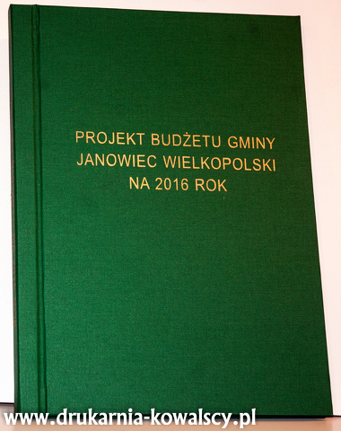 projekt budżetu gminy