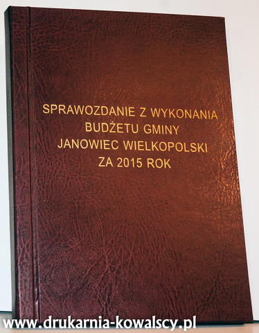 sprawozdanie z wykonania budżetu