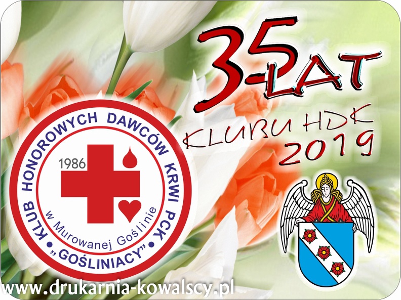 HDK MUROWANA GOŚLINA 6