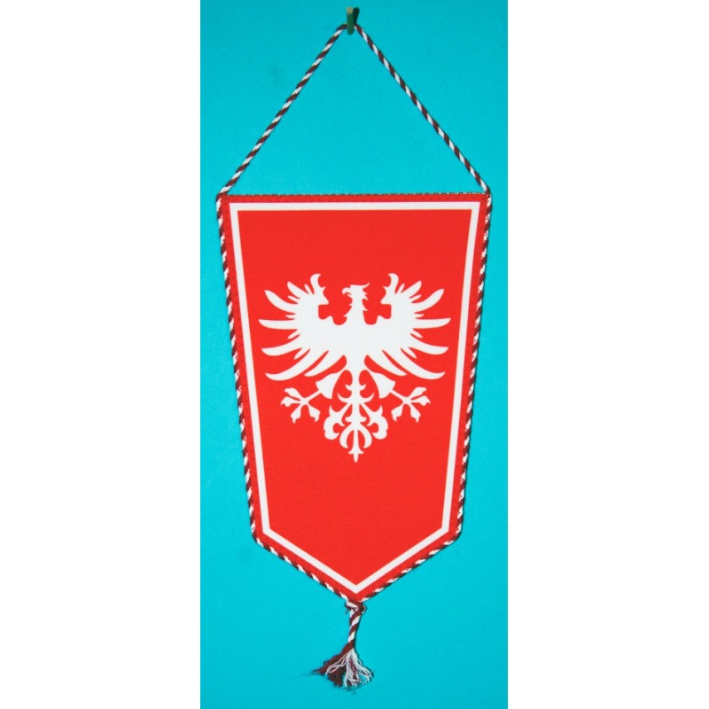 PROPORCZYK „POWSTANIE WIELKOPOLSKIE” (72)