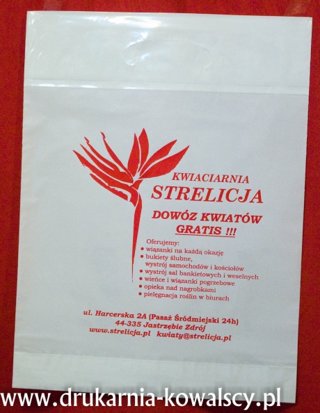 strlicja