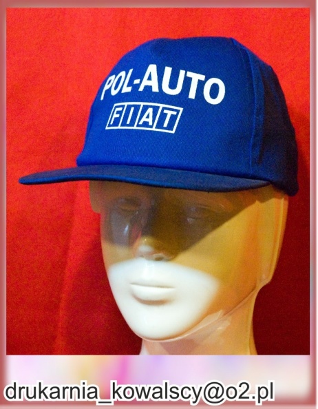 polauto1www