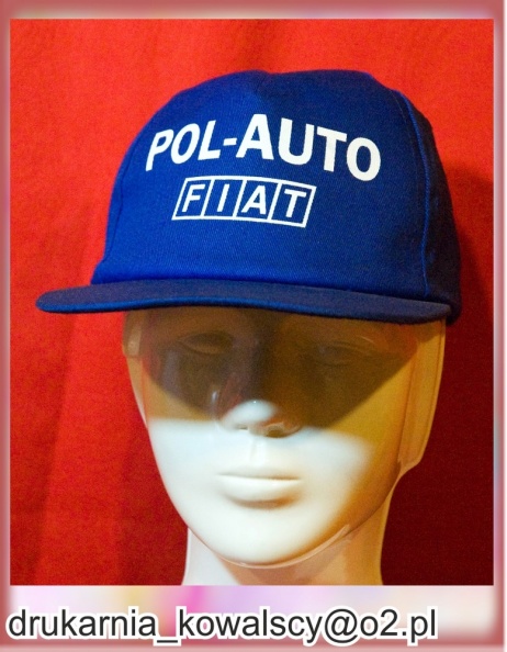 polauto2www
