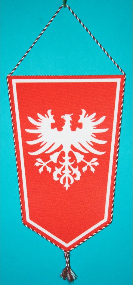PROPORCZYK „KRZYŻ POWSTAŃCZY - POWSTANIE WIELKOPOLSKIE” (75)