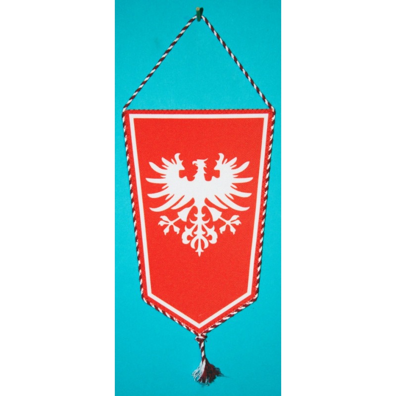 PROPORCZYK „POWSTANIE WIELKOPOLSKIE” (72)