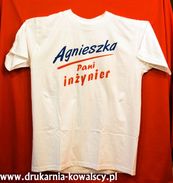 pani inżynier