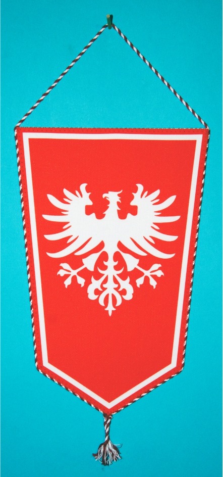 PROPORCZYK „POWSTANIE WIELKOPOLSKIE - JANOWIEC WIELKOPOLSKI” (76)