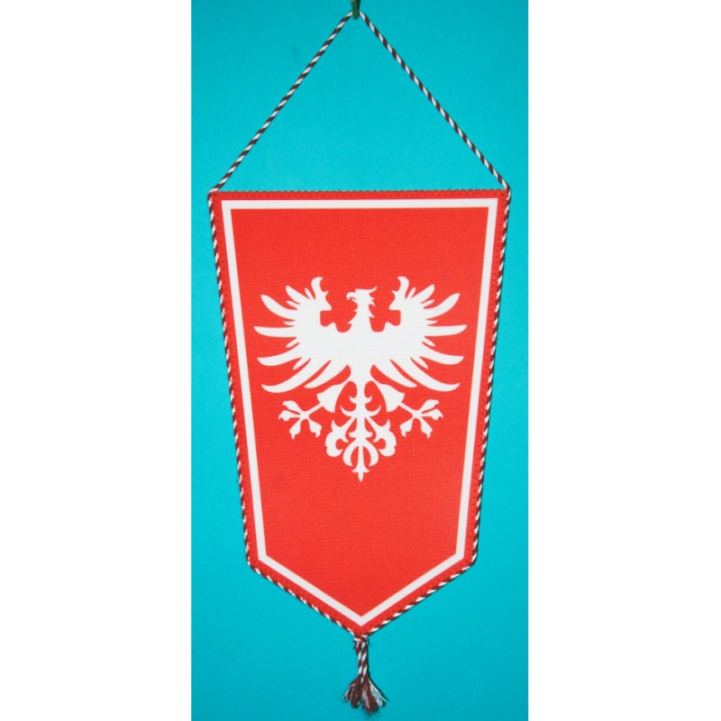 PROPORCZYK „POWSTANIE WIELKOPOLSKIE - JANOWIEC WIELKOPOLSKI” (76)