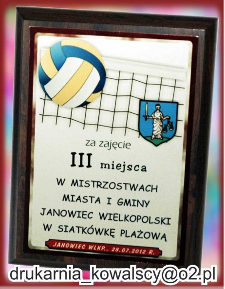 mistrzostwa3miejsce