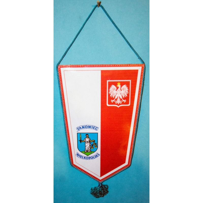 PROPORCZYK „MIESZ-KON JANOWIEC WLKP.” (12)