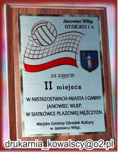 pilkaplazowa2011srebro2