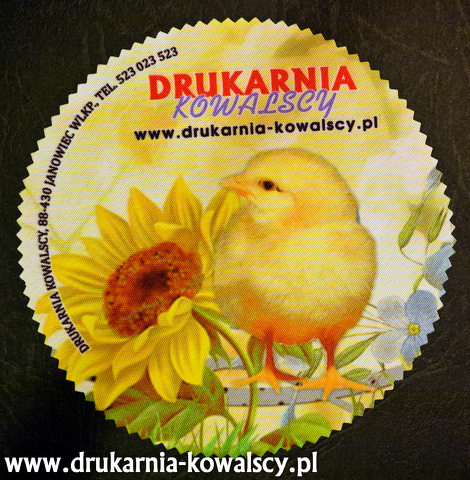 kurczak i słonecznik
