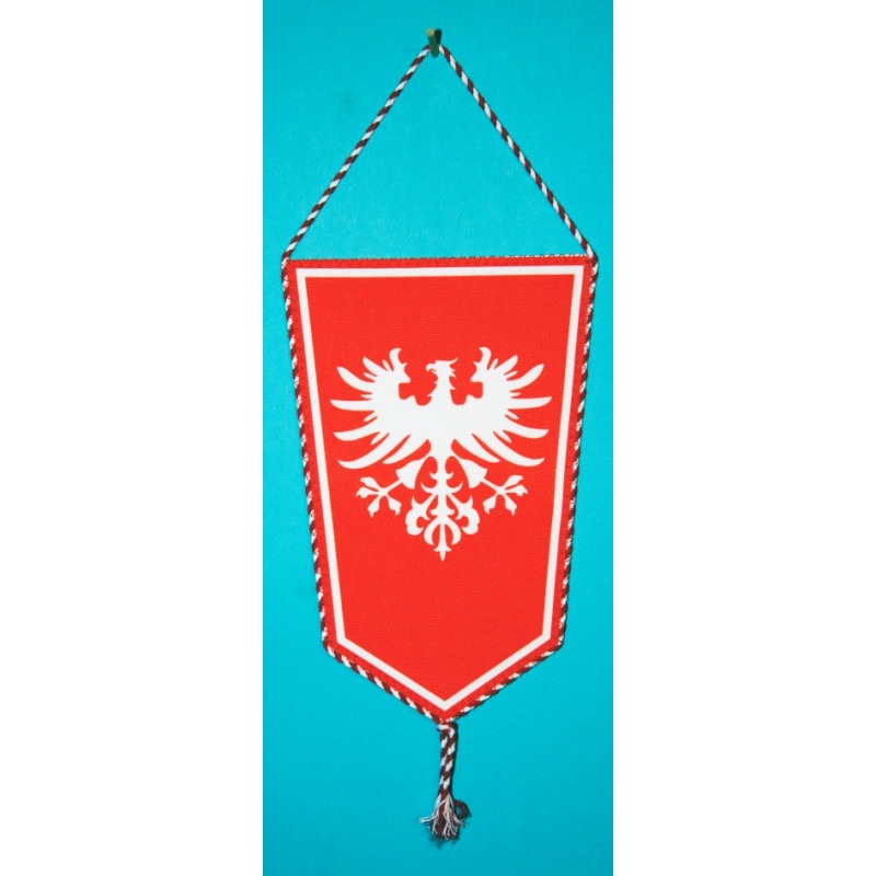 PROPORCZYK „KRZYŻ POWSTAŃCZY - POWSTANIE WIELKOPOLSKIE” (73)