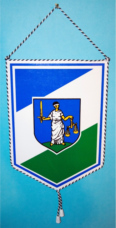 PROPORCZYK „LKS SPARTA JANOWIEC - DUŻY” (27)