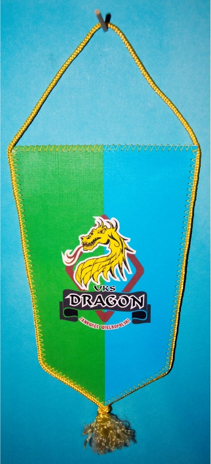 PROPORCZYK „UKS DRAGON JANOWIEC WIELKOPOLSKI” (31)
