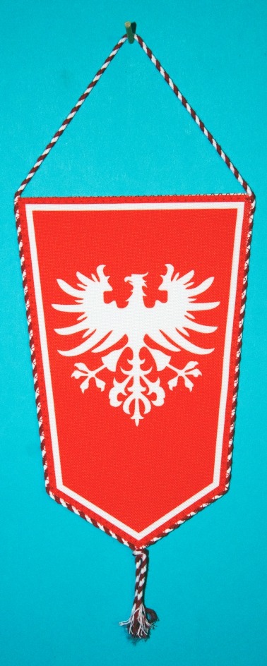 PROPORCZYK „KRZYŻ POWSTAŃCZY - POWSTANIE WIELKOPOLSKIE” (73)