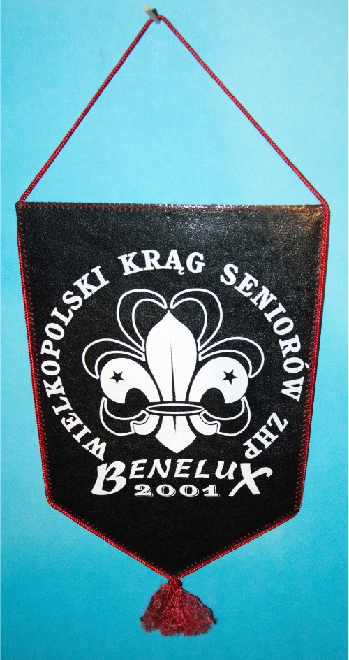 PROPORCZYK „WIELKOPOLSKI KRĄG SENIORÓW BENELUX 2001” (16)