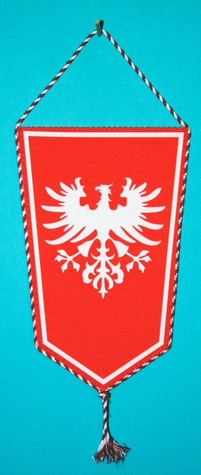 PROPORCZYK „POWSTANIE WIELKOPOLSKIE - JANOWIEC WIELKOPOLSKI” (74)